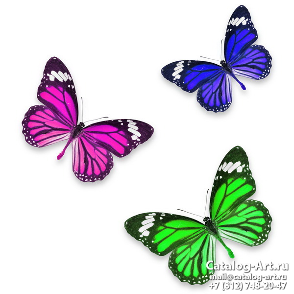  Butterflies 121